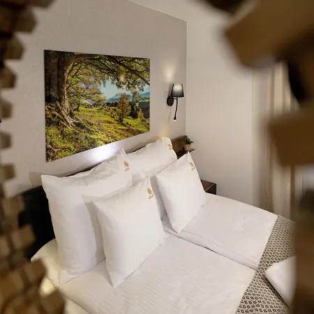 Styl 4 Pory Roku, 1km Do Centrum, Parking * Zakopane