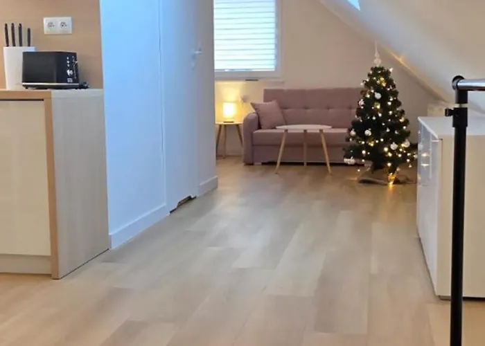 Styl 4 Pory Roku, 1km Do Centrum, Parking *